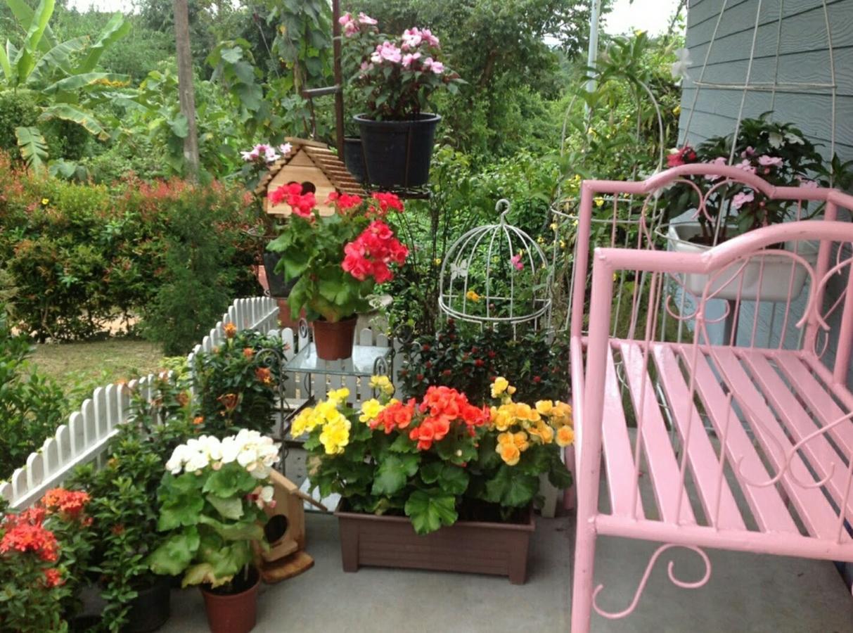Baan JaoKorKluay Bed & Breakfast Chiang Rai Bagian luar foto
